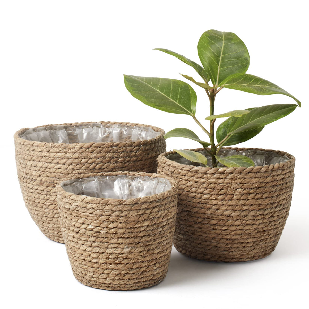LA JOLIE MUSE Seagrass Basket Planters for Indoor Plants, Flower Pot 3 Pack