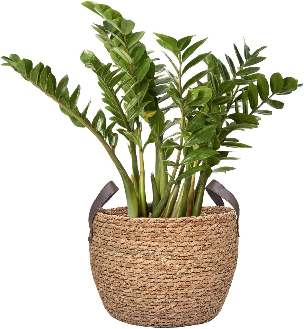 GIB Round Seagrass Storage Baskets Woven Wicker Planter Baskets for Decor