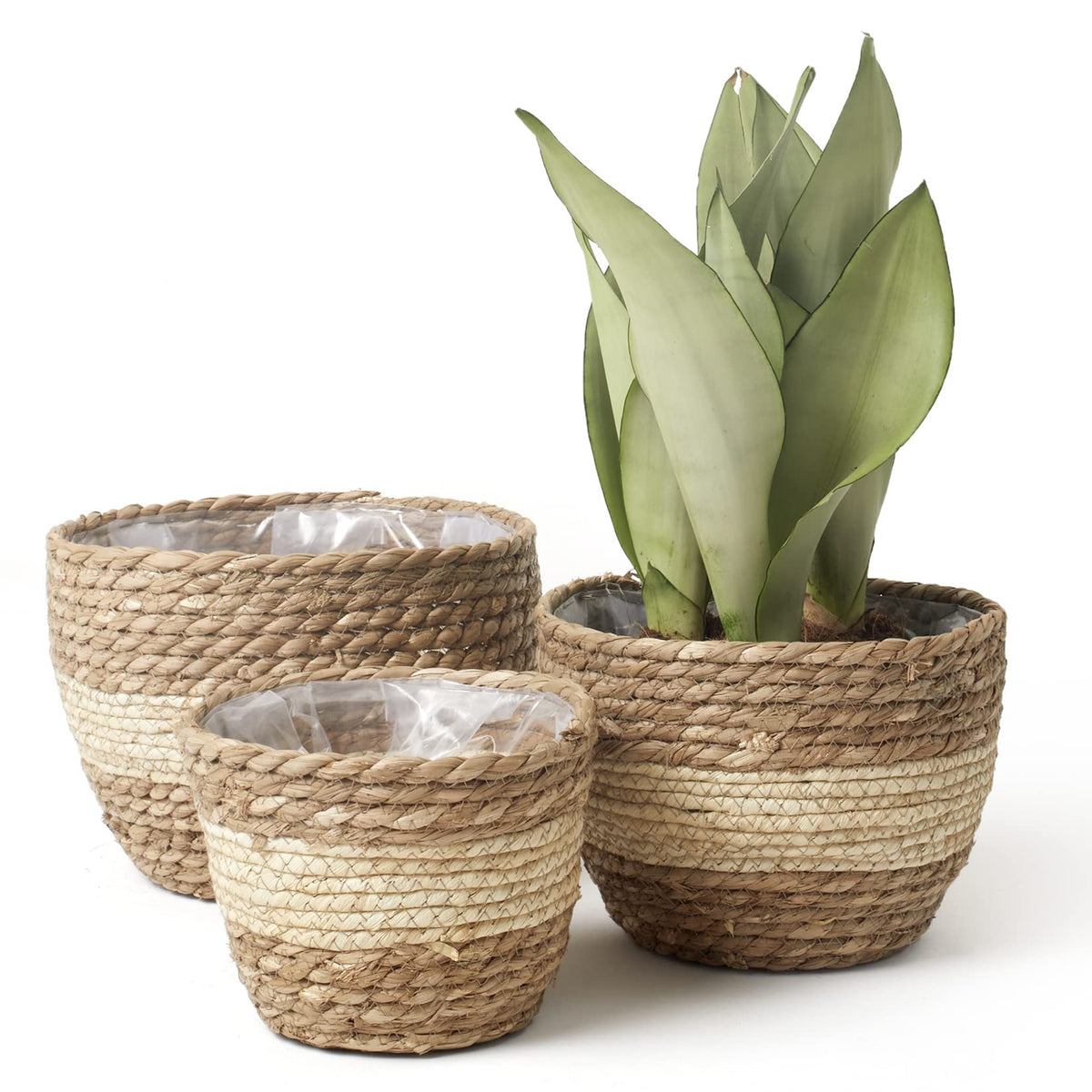 LA JOLIE MUSE Seagrass Basket Planters for Indoor Plants, Flower Pot 3 Pack