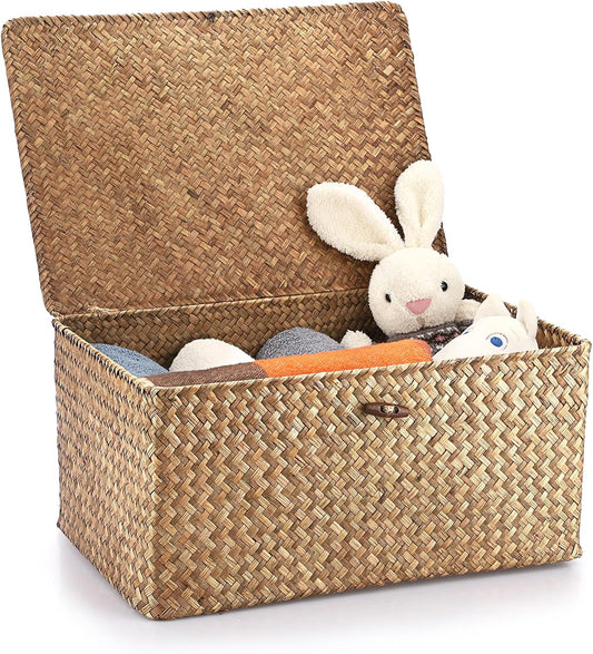 Hipiwe Wicker Shelf Baskets Bin with Lid Woven Storage Box, Coffee X-Large
