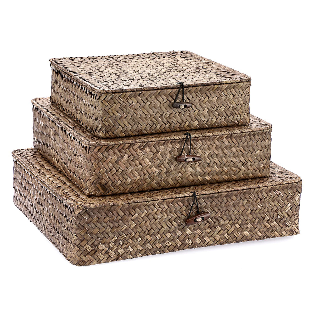 Hipiwe Set of 2 Flat Wicker Storage Basket Bins with Lid Woven Seagrass Box