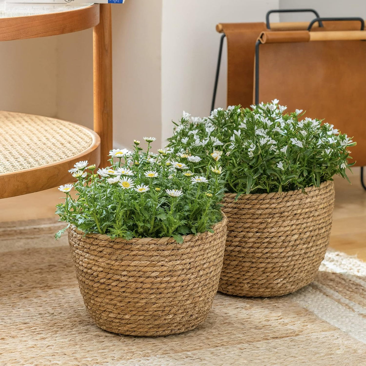 LA JOLIE MUSE Seagrass Basket Planters for Indoor Plants, Flower Pot 3 Pack