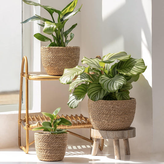 LA JOLIE MUSE Seagrass Basket Planters for Indoor Plants, Flower Pot 3 Pack