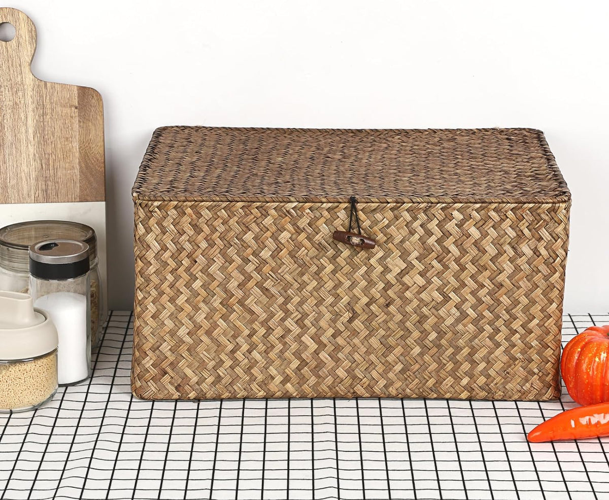 Hipiwe Wicker Shelf Baskets Bin with Lid Woven Storage Box, Coffee X-Large