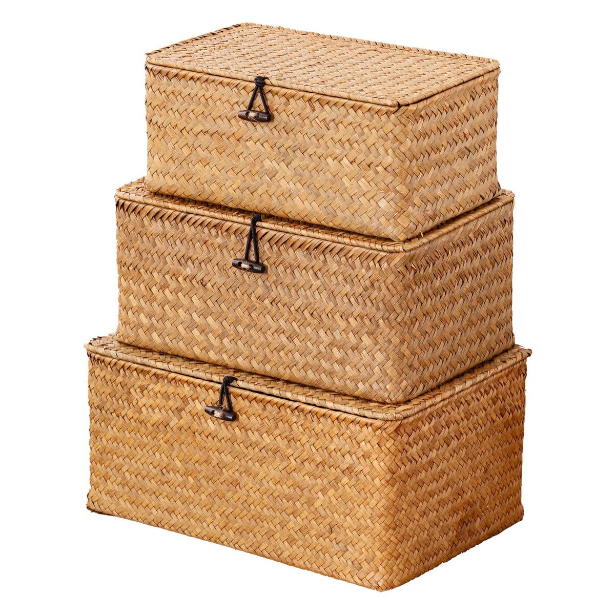 Nonam Wicker Storage Basket with Lid,Seagrass Shelf Basket Set of 3,Nautral