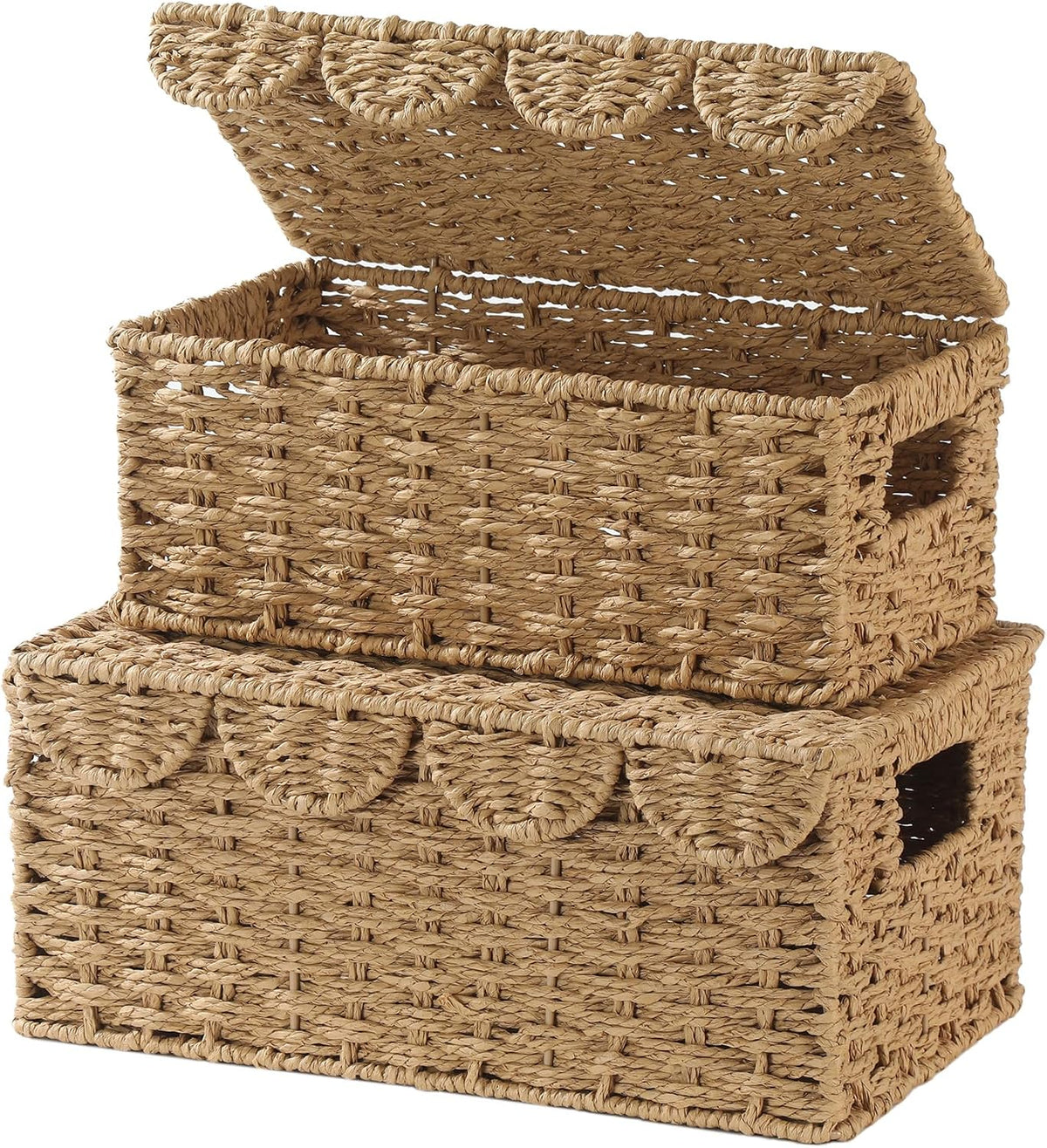 Set of 2 Scalloped Wicker Basket with Lid, Paper Rope Baskets for Shelves